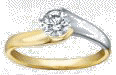 anillo_brilla_transparente_01.gif (8772 bytes)